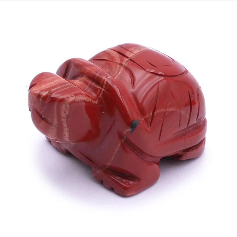 Tortue jaspe rouge Afrique du Sud A 50mm - La Boite à Cailloux