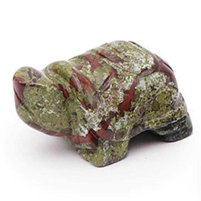 Tortue jaspe sang de dragon Afrique du Sud A 50mm - La Boite à Cailloux